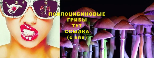 молекула духа Сафоново