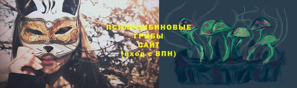 МДПВ Саяногорск