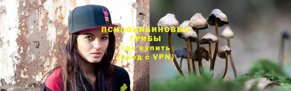 молекула духа Сафоново