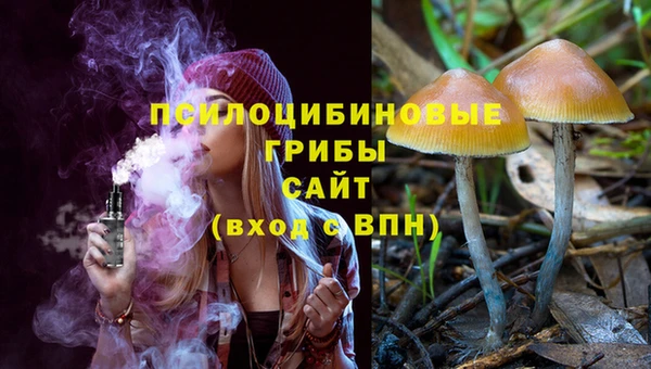 молекула духа Сафоново