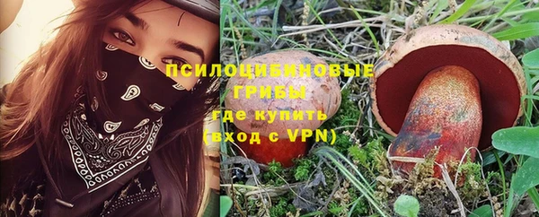 молекула духа Сафоново