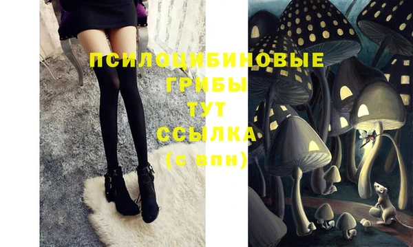 МДПВ Саяногорск