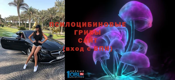 молекула духа Сафоново